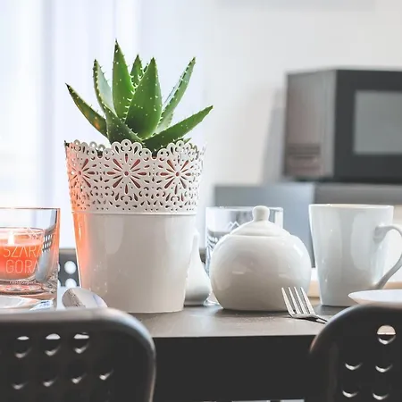 Apartament Szara Gora Groń